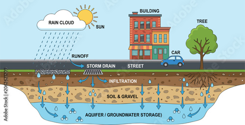 Urban Water Cycle Infographic Vector Illustration Showing Rainwater Runoff, Storm Drain Infiltration through Soil, and Aquifer Groundwater Storage in a City Environment