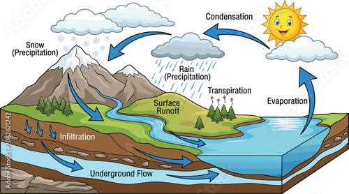 Water Cycle Infographic Vector Illustration Displaying Hydrological Stages Featuring Evaporation, Transpiration, Condensation, Rain and Snow Precipitation, Surface Runoff, and Underground Flow