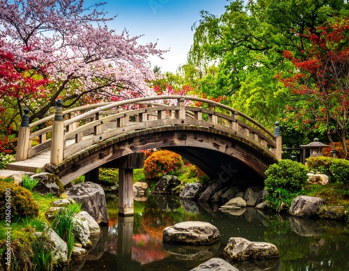 Wooden bridge over tranquil pond, spring blossoms