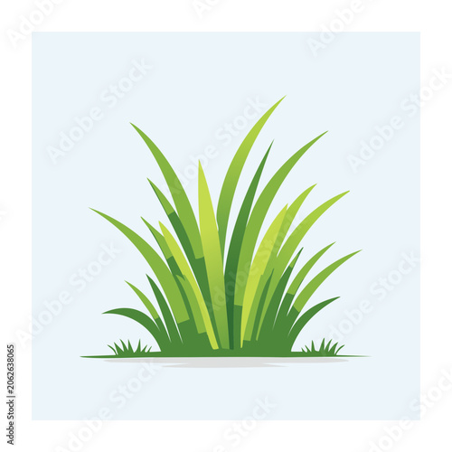 Snake plant in white pot on white background
