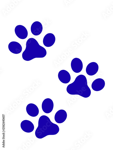 Blue Dog Paw