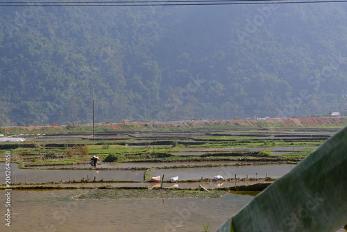 Pu Luong Nature Reserve, Vietnam January 13, 2026. Pu Luong Nature Reserve is a few hours drive from Hanoi. Quiet and mountainous it is an agricultural area surrounded by spectacular forests.