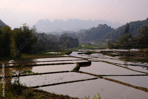Pu Luong Nature Reserve, Vietnam January 13, 2026. Pu Luong Nature Reserve is a few hours drive from Hanoi. Quiet and mountainous it is an agricultural area surrounded by spectacular forests.