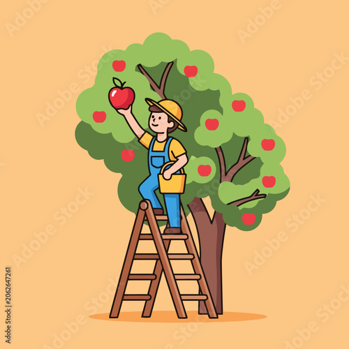 Young farmer harvesting apples from a tree using a ladder.