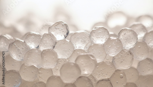 Active Water Kefir grains Tibicos translucent gelatinous crystals macro