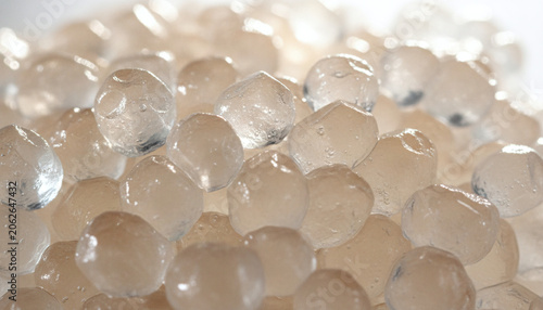 Active Water Kefir grains Tibicos translucent gelatinous crystals macro