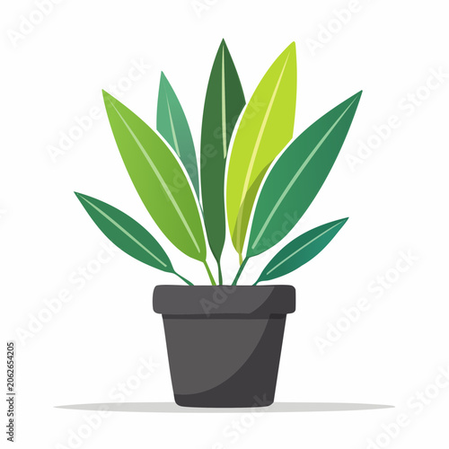 Potted Green Plant Illustration