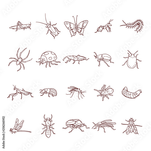 Hand Drawn Insect Species Doodle Collection Set
