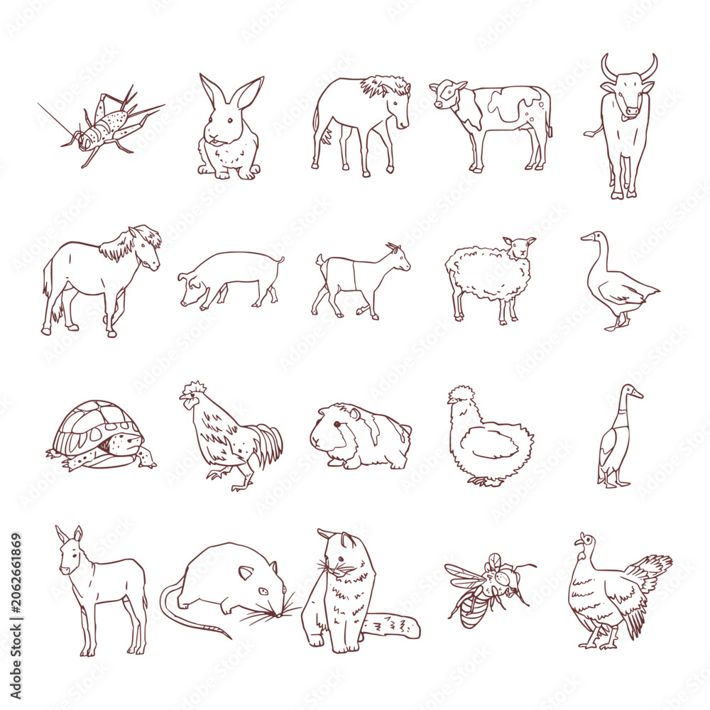 Obraz premium Hand Drawn Farm Animal Collection Set