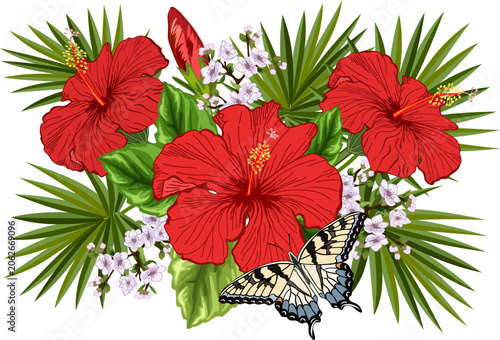 A bouquet of Chinese roses and palm leaves.Vector illustration with a bouquet of red hibiscus and palm leaves on a transparent background with a butterfly.