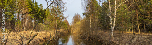 Still water reflects autumn trees lining quiet forest path
