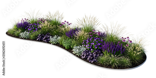 Lush Curved Garden Bed Featuring Ornamental Grasses, Purple Salvia, Coneflowers, and Mixed Perennial Flowers Isolated on a Transparent Background