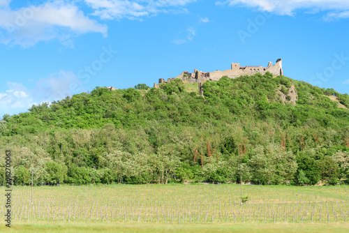 Hungary, Szigliget, ruins of Szigligeti Var castle on the top of the mountain, view from the bike path to the vineyard and the mountain.