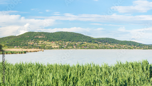 Hungary, Lake Balaton, view of the green reeds and hills above the water on a sunny summer day.