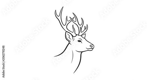 Elegant line art drawing of a deer head with majestic antlers, isolated white background.