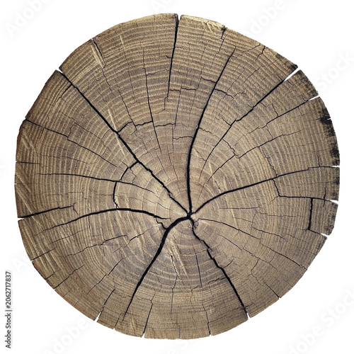 Brown cracked wood stump cross section PNG transparent background