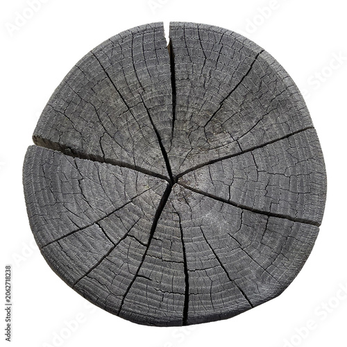 Dark gray cracked wood stump cross section PNG transparent background