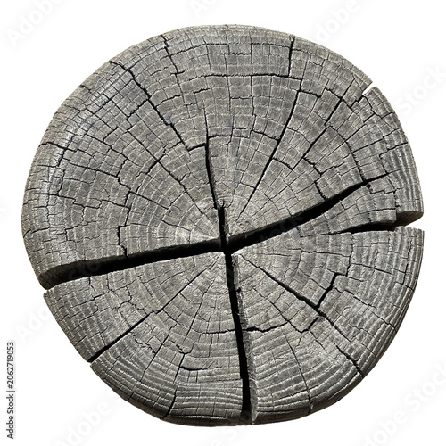 Gray wood stump cross section split into segments by deep radial cracks, PNG transparent background. Old weathered timber log slice isolated cutout with annual ring