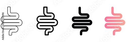 Cuadro en lienzo Intestine icon featuring bowel symbol and human digestive tract illustration for anatomy, digestion, gastrointestinal health, and medical concepts