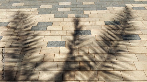 Bild auf Leinwand Abstract shadow of palm tree leaves on a stone paved sidewalk