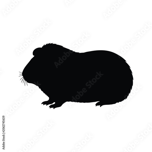 Tableau sur toile Black vector silhouette of a guinea pig icon vector flat design.
