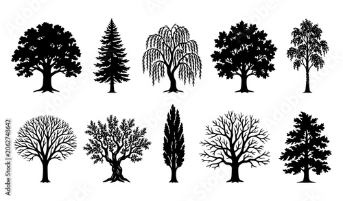 Foto Black Tree Silhouette Collection with Detailed Branches and Natural Forest Eleme