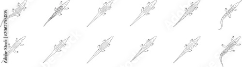 Crocodile collection, line art, alligator, symbol, top view, wildlife, blueprint, editable stroke, vector, illustration