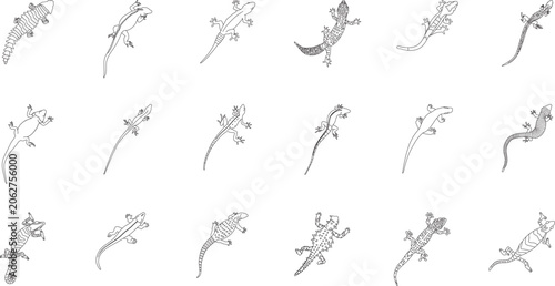 Lizard collection, reptile, animal, wildlife, gecko, skink, iguana, line, art, side view, blueprint, editable stroke, vector, illustration