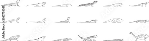 Lizard collection, reptile, animal, wildlife, gecko, skink, iguana, line, art, top view, blueprint, editable stroke, vector, illustration