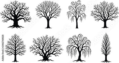 Photos WebBare winter tree silhouettes set isolated on white background for seasonal na