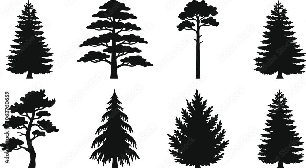 Fototapeta premium Pine and fir tree silhouettes set isolated on white background for nature and forest design projects
