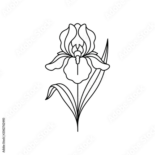 Schilderij op canvas A simple black and white line art drawing of an iris flower