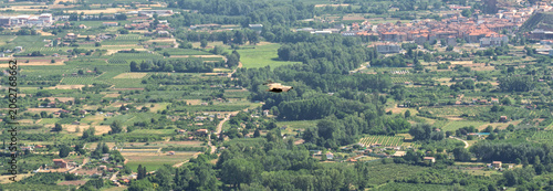фотографія Griffon Vulture Over Vineyards and Town in La Rioja