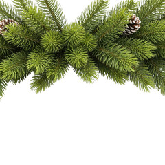 Realistic green fir tree garland with pine cones isolated on transparent background