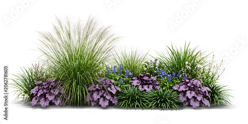 Lush Garden Border Arrangement with Ornamental Grasses, Purple Heuchera Coral Bells, and Blue Salvia Flowers Isolated on a Transparent Background