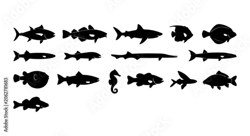 Diverse Fish Silhouettes Collection, Aquatic Life Icons, Marine Animal Vector Set