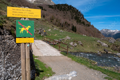 Hiker's trail near river marked with no-dogs sign
