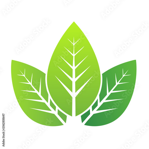 Flat design green leaf vector