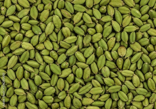 Green cardamom pods scattered during bright studio lighting with natural concept and flat lay style
