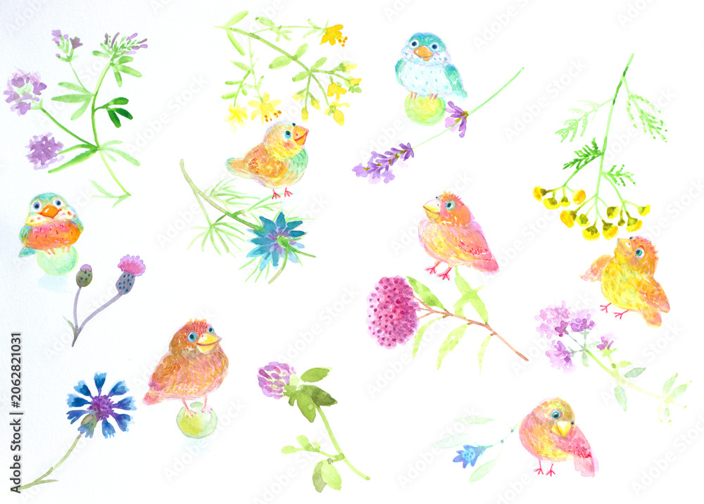 Obraz premium birds, bird, happy , fun , funny, cute, flower,nnature,fantasy,textil