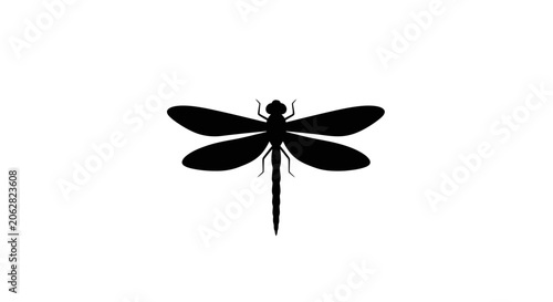 Black silhouette of a dragonfly insect.