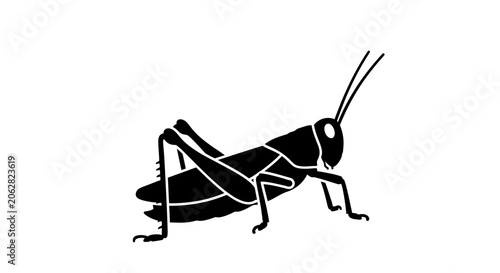 Photos Black silhouette of a grasshopper insect.