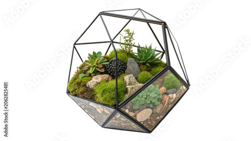 Konstfotografi Creative glass geometric terrarium with green succulent plants isolated on a tra