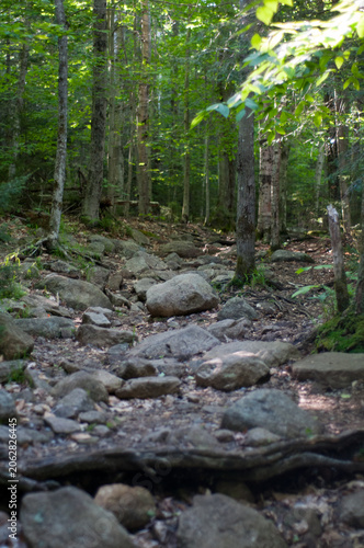 The path through the woods and up Blue Mountain in the Adirondacks