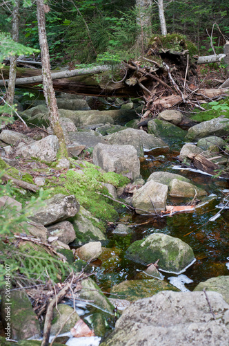 Scenery on the hike up Blue Mountain in the Adirondacks