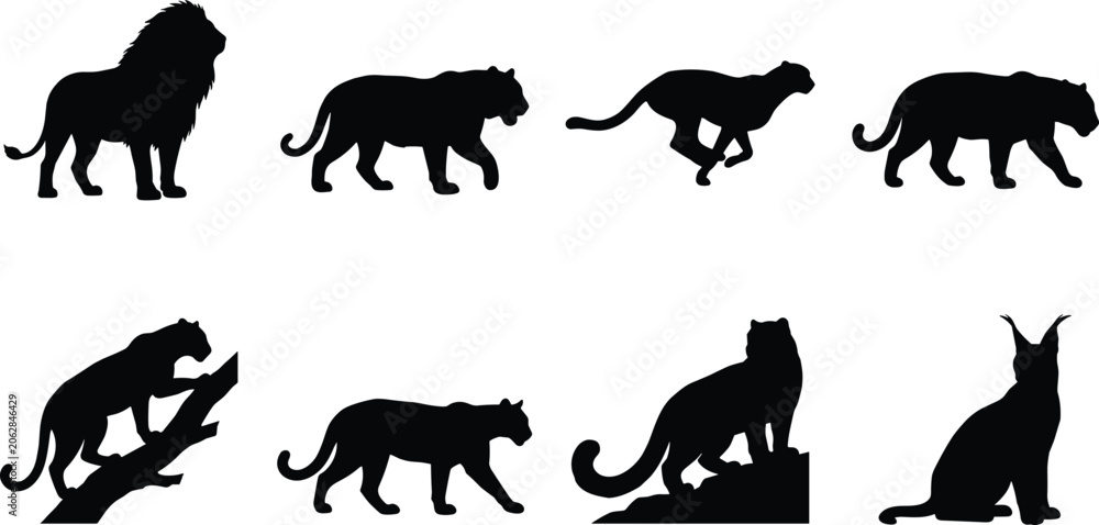 Obraz premium Silhouette Collection of Big Cats in Distinctive Wildlife Poses