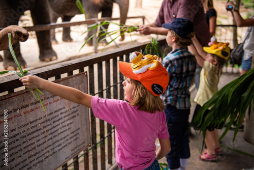 Canvas Print Children feeding elephants at zoo.