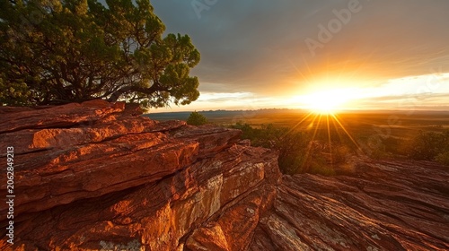 Golden sunrise illuminates a rugged desert plateau with layered rock formations and a lone tree