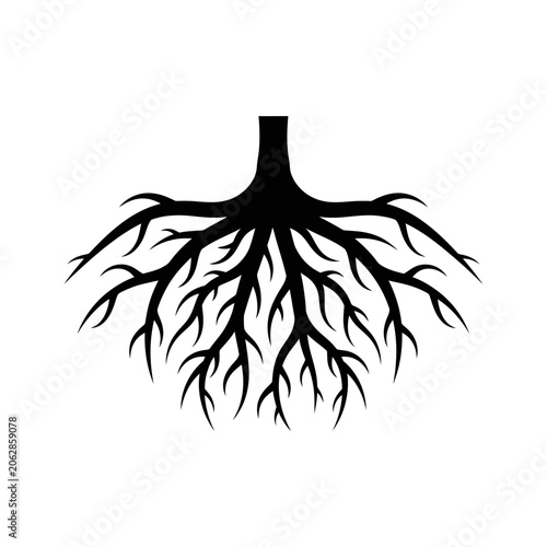 Black silhouette of tree roots underground.
