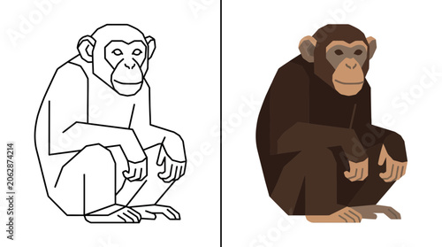 Cuadro en lienzo Chimpanzee primate line art and flat color illustration.